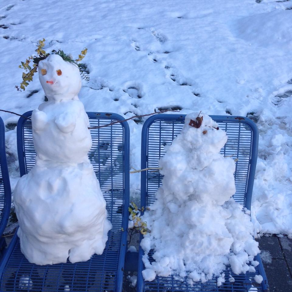 Snowpeople