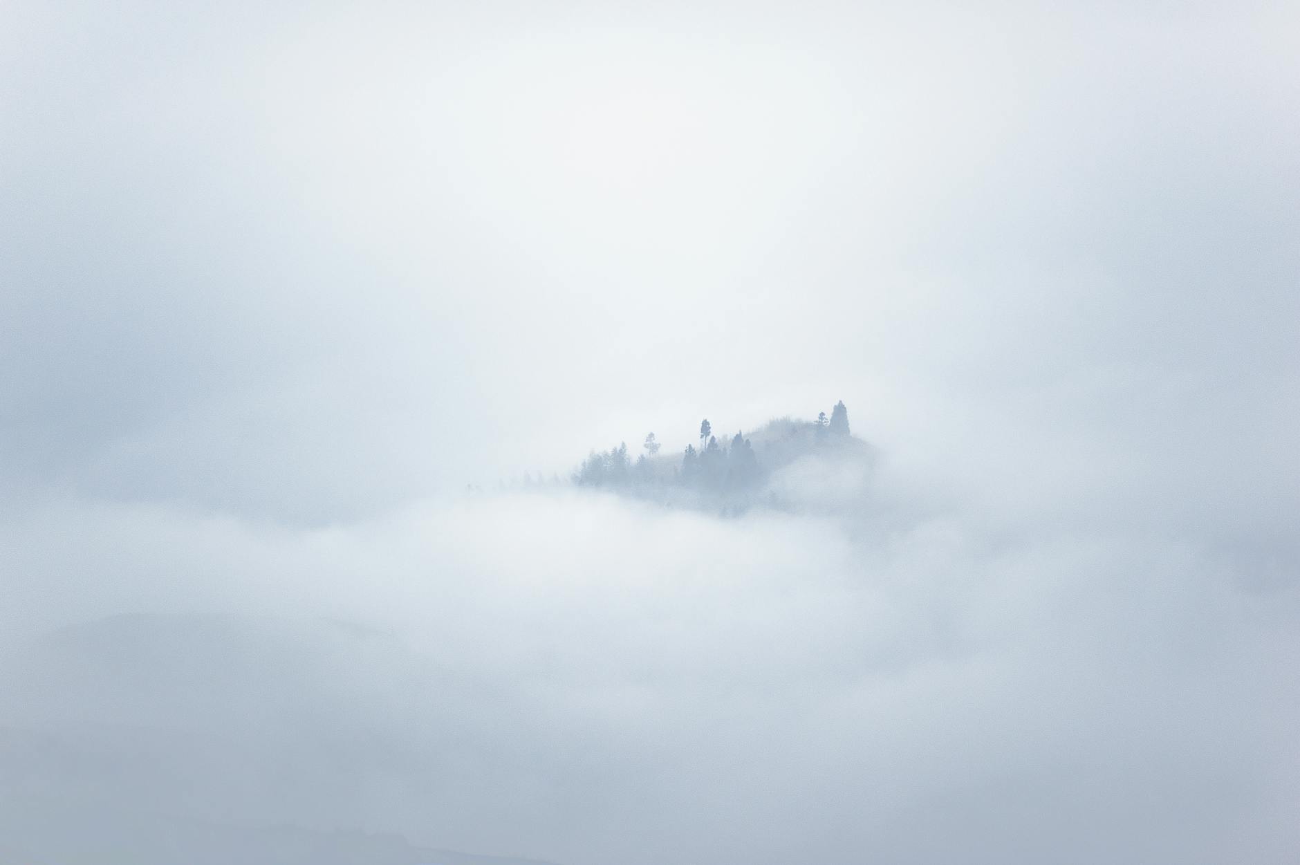 Day of Fog — maxcruzideas