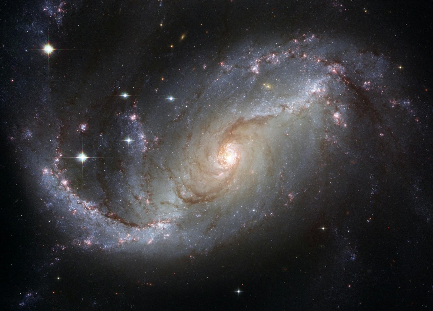The Forces of the Universe — Flowering Poverello