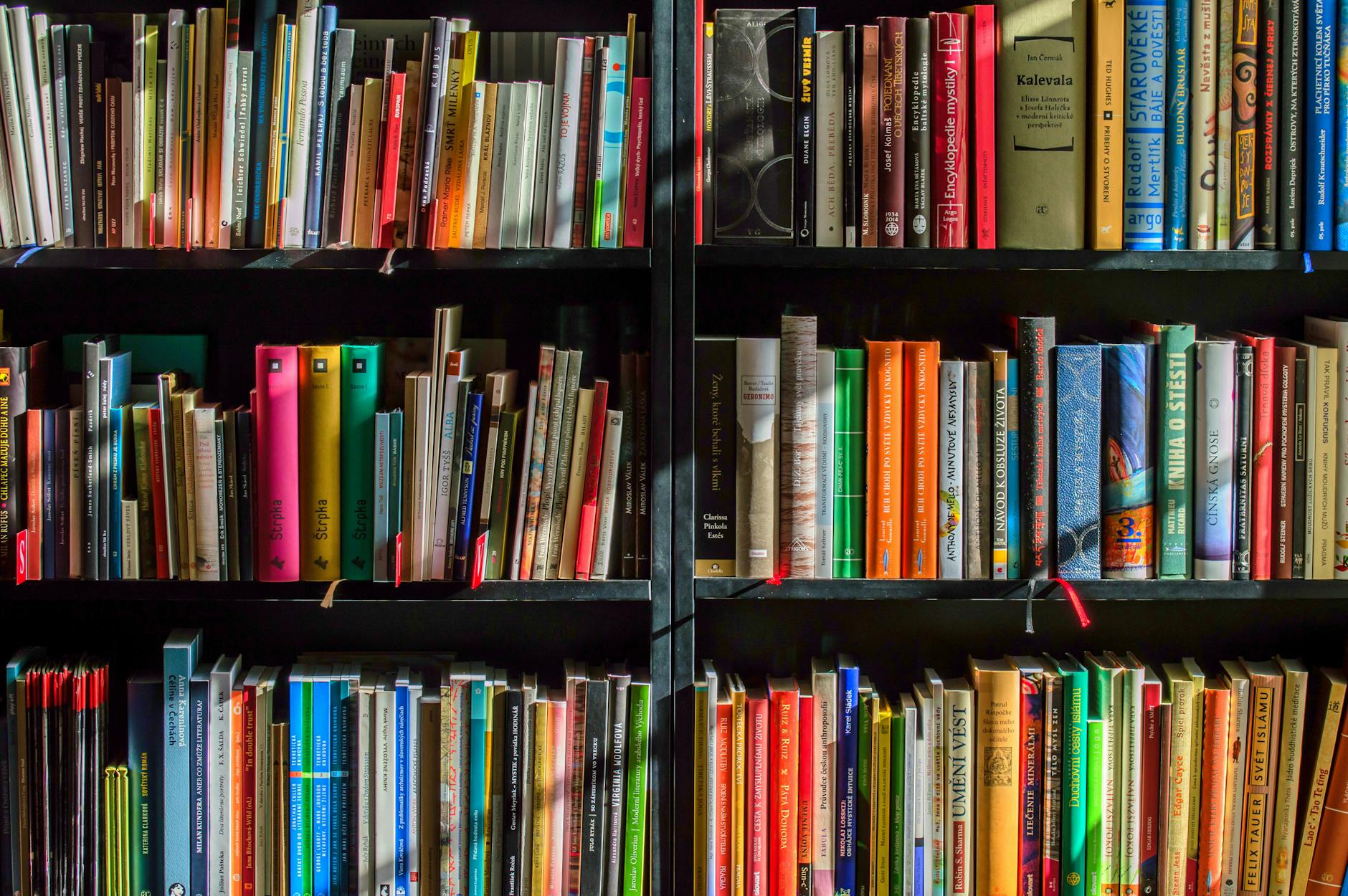 The Myth of Education — Starving Artist Archives