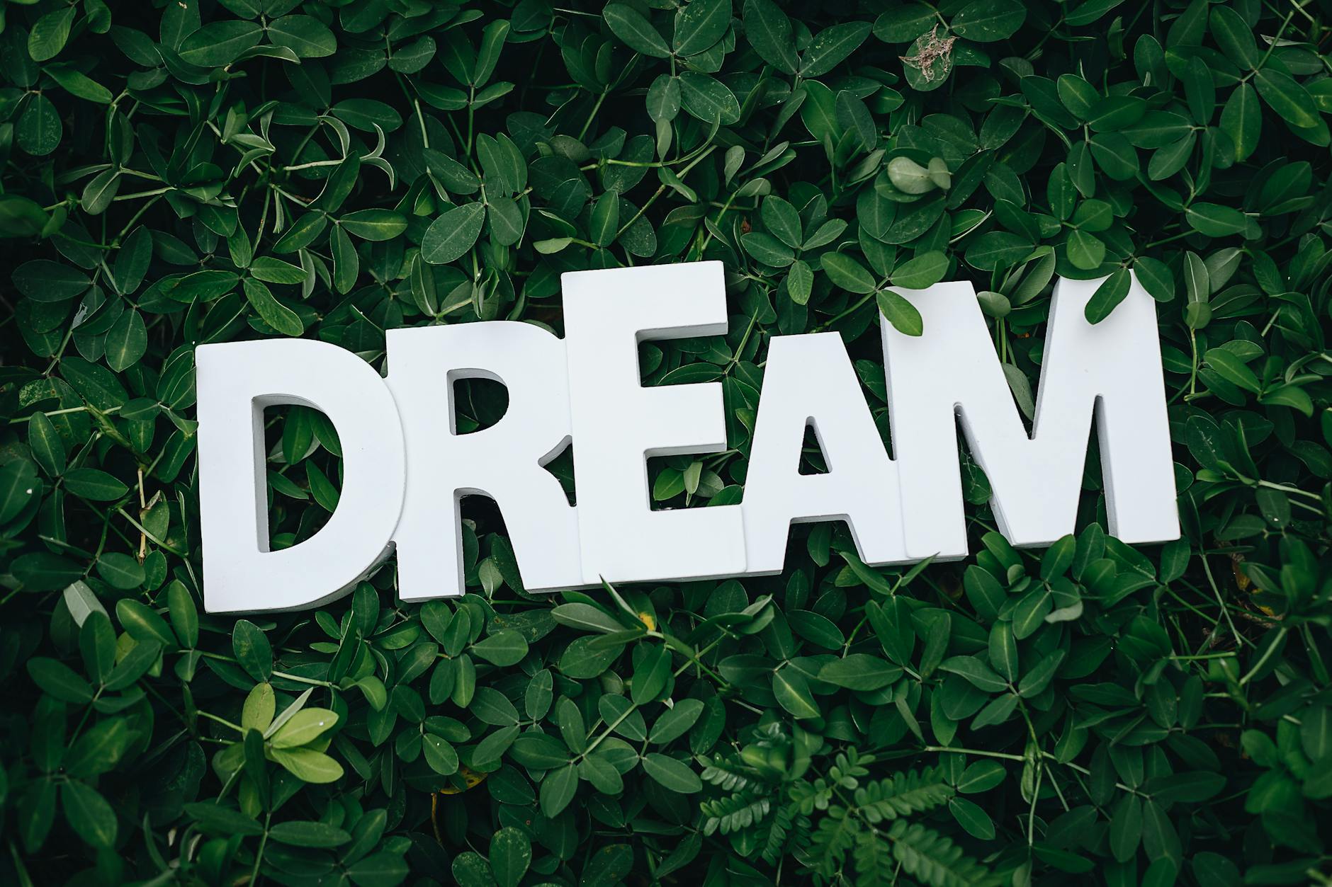 Dreams and Nightmares — Sincerely, Jennifer x