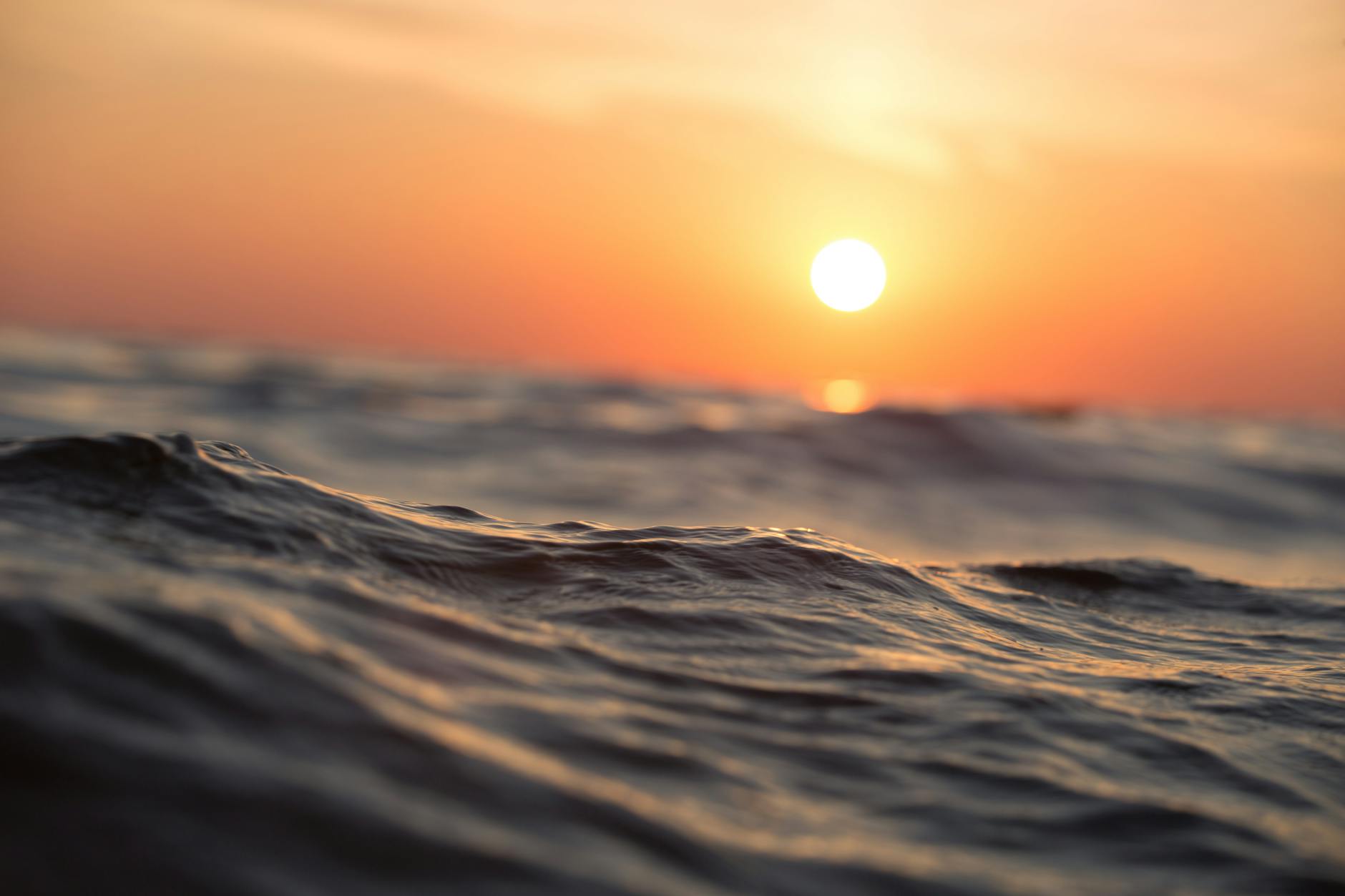 Seascape Saturday — Eternal Ocean of Words