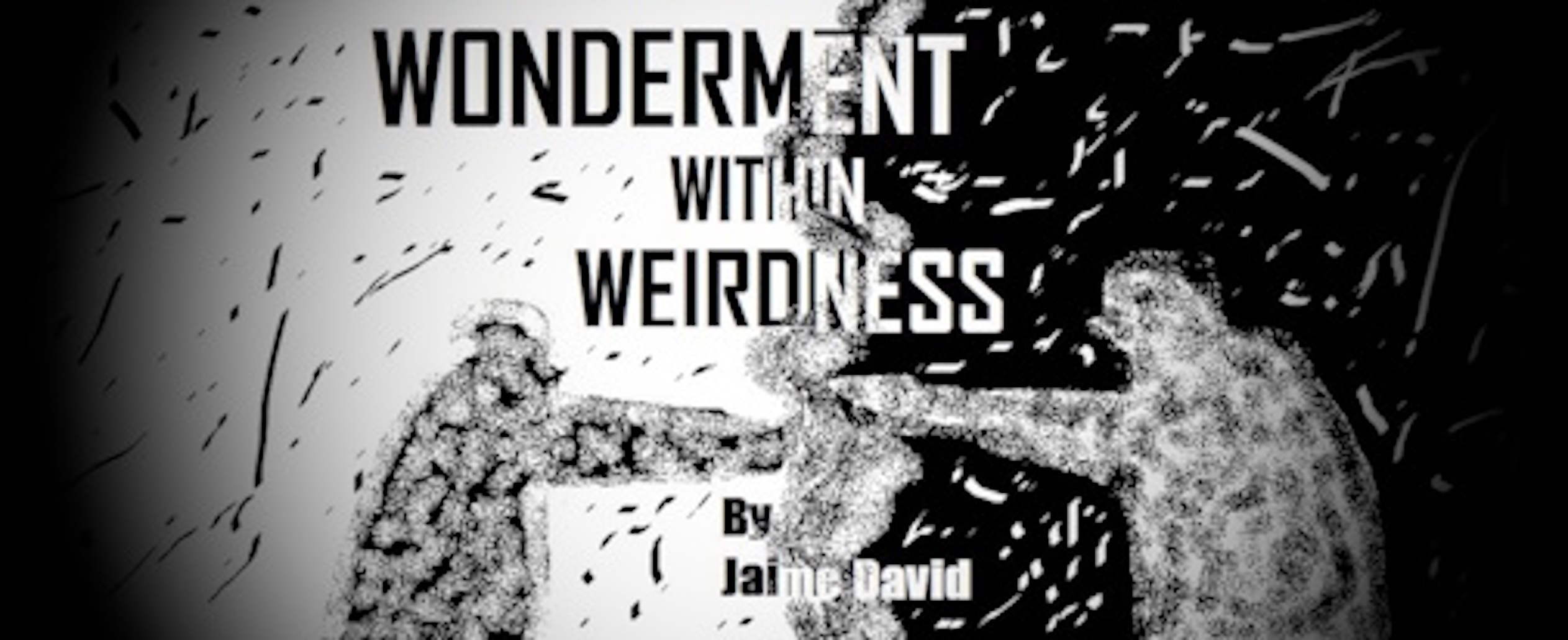 Check out my debut book “Wonderment Within Weirdness!!”