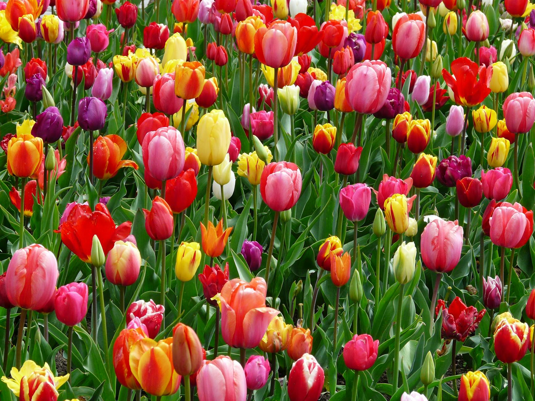 April