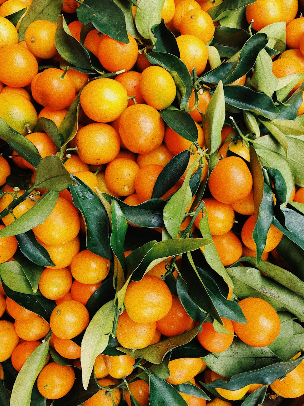 “Citrus Boost: Beat the Blues” – The Interfaith Intrepid