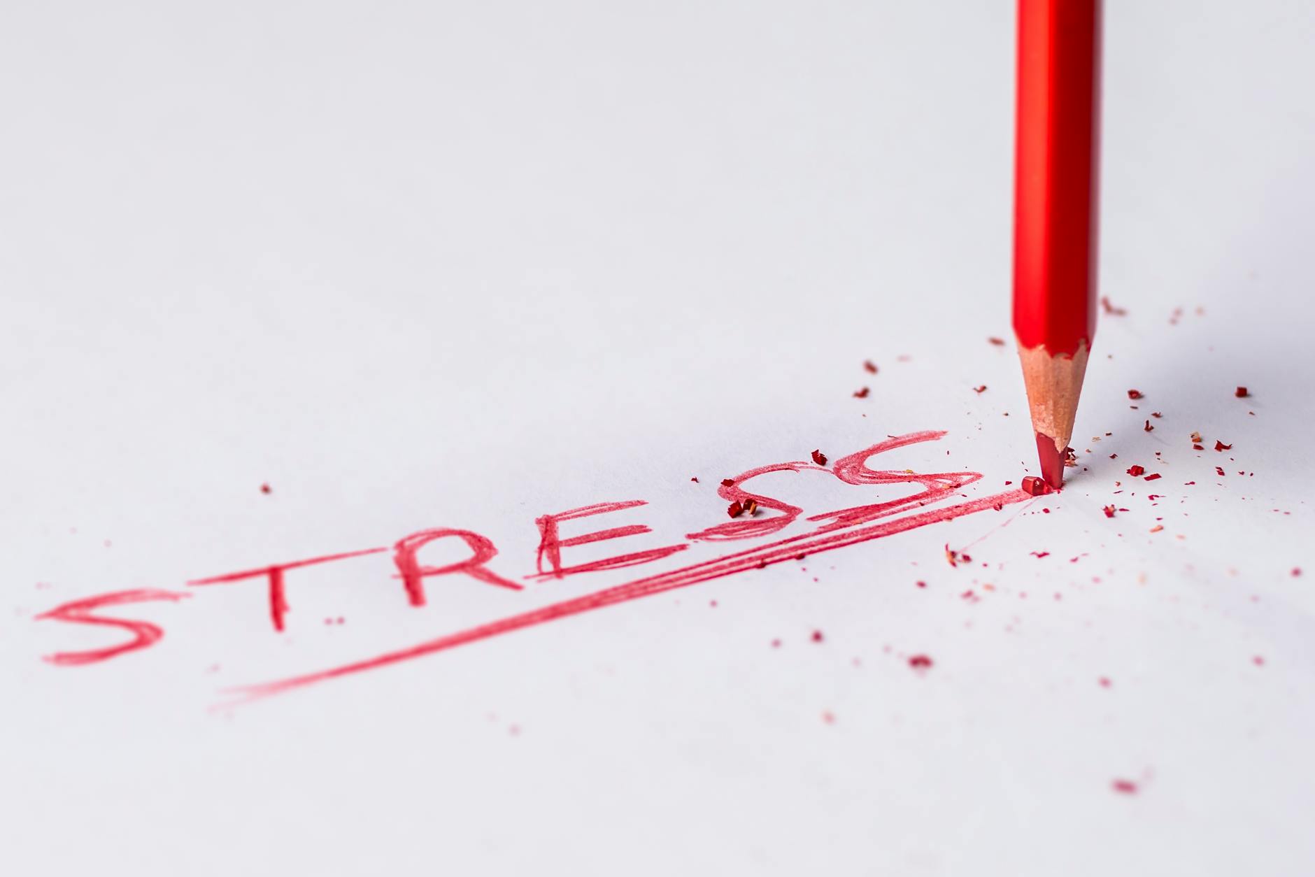 “Navigating Stress: Lessons from Young Adults’ Coping Strategies During COVID-19” – Let’s Be Different Together