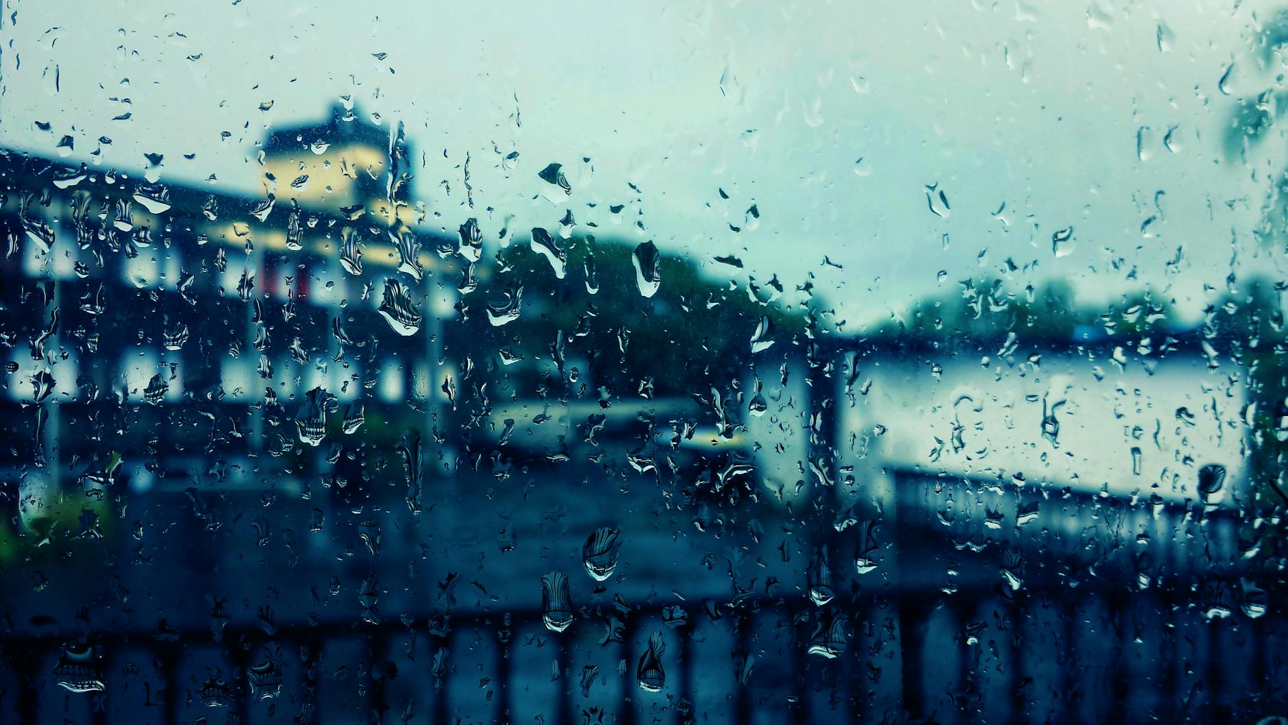 Rainy Window