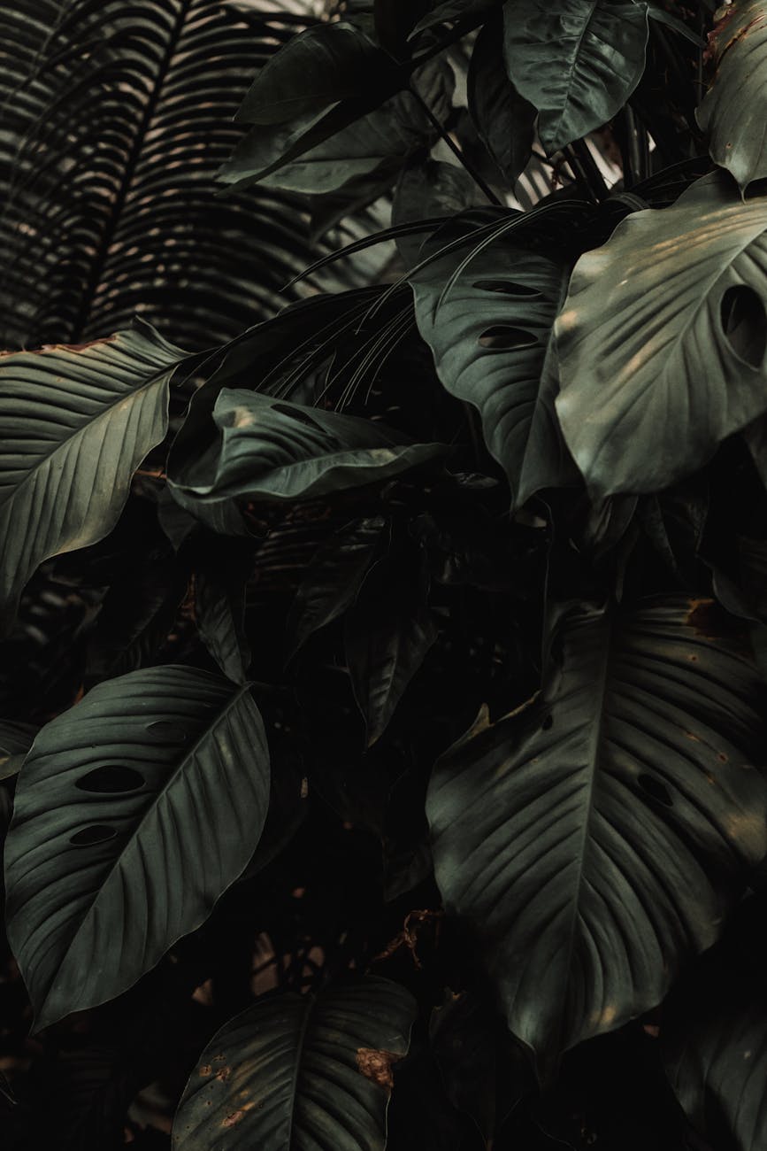 Arnold’s Parents: When the Big Reveal Falls Flat