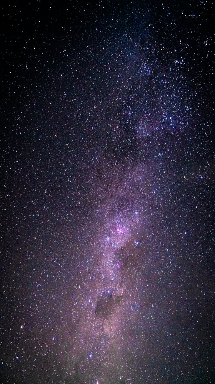 The Many Faces of Jaime David: Politics, Medicine, and Creativity