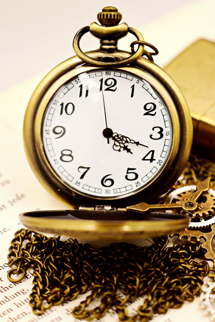 The Time Travelers Didn’t Ghost the Party. They Just Didn’t Like Stephen Hawking.