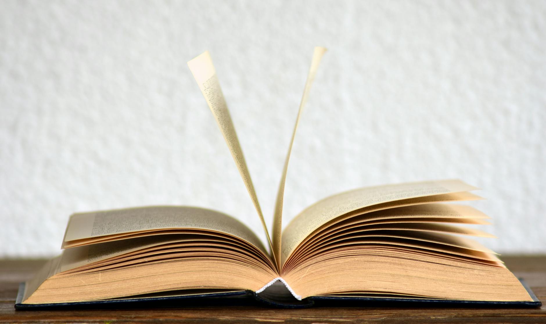 To Every Writer, Author, and Reader Out There — I Want to Tell You About My Book