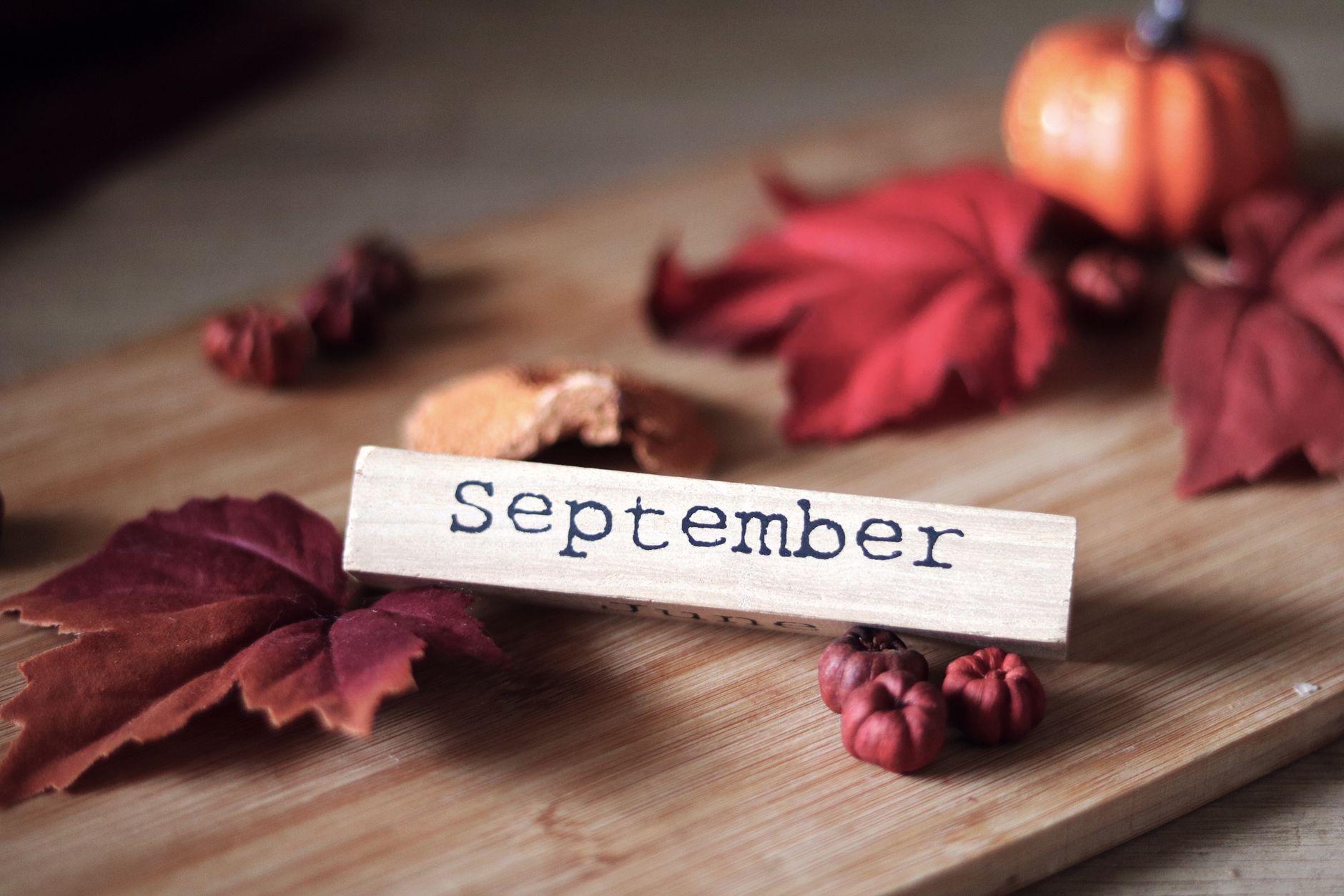 september autumn decor with leaves and pumpkins