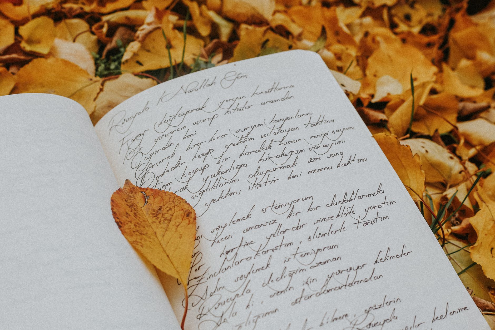 My Infinity Poem: A Multi-Million-Word Epic Challenging the Giants of Literature